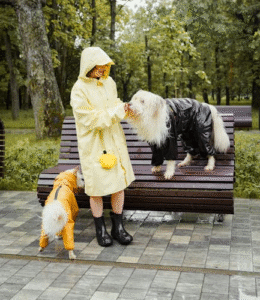 dog walking benefits