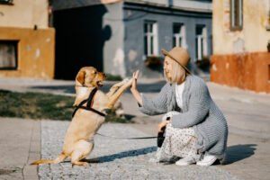 dog with owner
